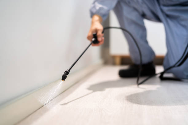 Licensed Pest Control service in Weston, NJ - Show Me Pest Control