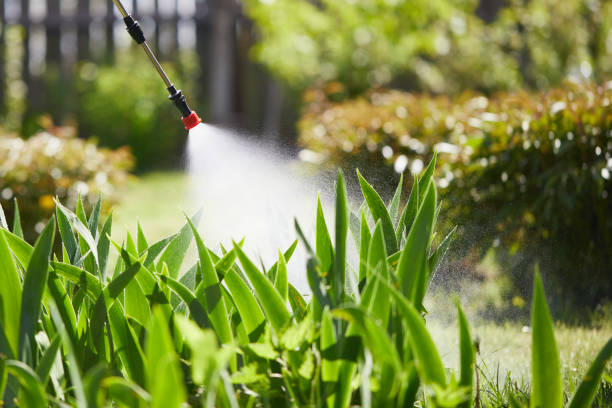 24/7 Emergency Ant Control experts in Weston, NJ